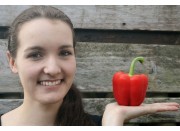 RED CAPSICUM LARGE Size Each  Whakatane Grown